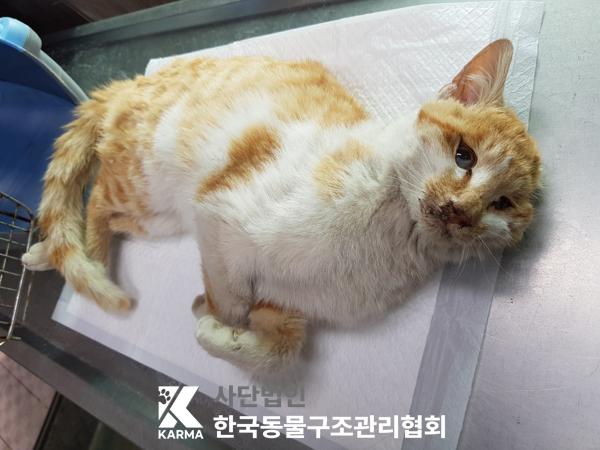 종료(자연사) 한국…